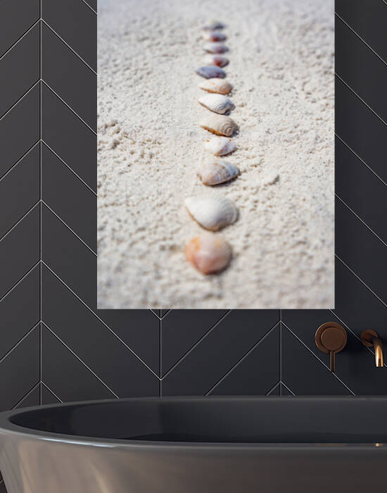 Shell Artistry Reproduction