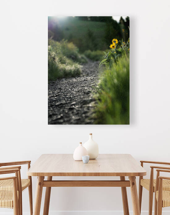 New Trail Reproduction