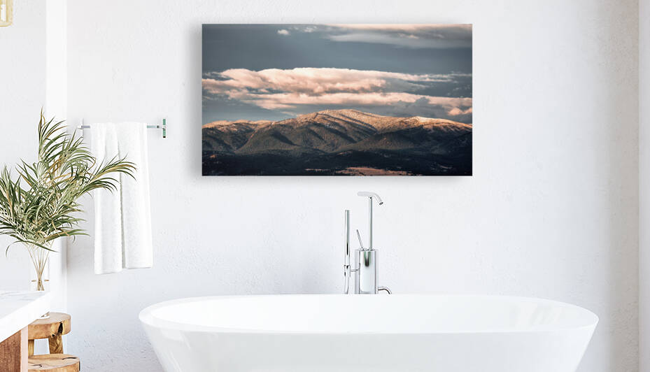 Dawn Reproduction