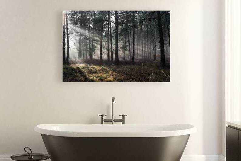 Forest Mist Reproduction