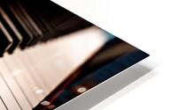 Ivory HD Metal print