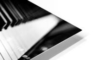 Ivory BW HD Metal print