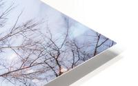 Soft Winter HD Metal print