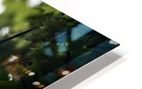 Green Maple HD Metal print