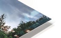 Dark Forest HD Metal print