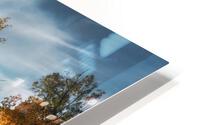 Golden Aspen HD Metal print