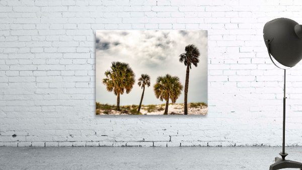 Beach Day Wall Preview