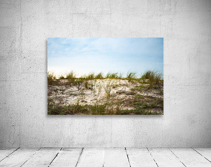 Beach Grass Wall Preview