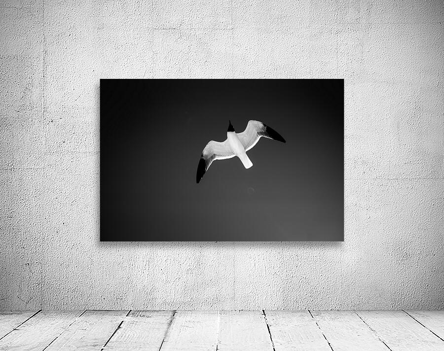 Flight Wall Preview