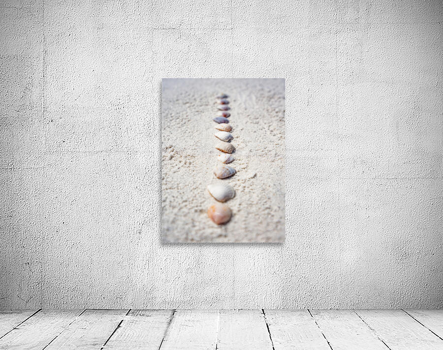Shell Artistry Wall Preview
