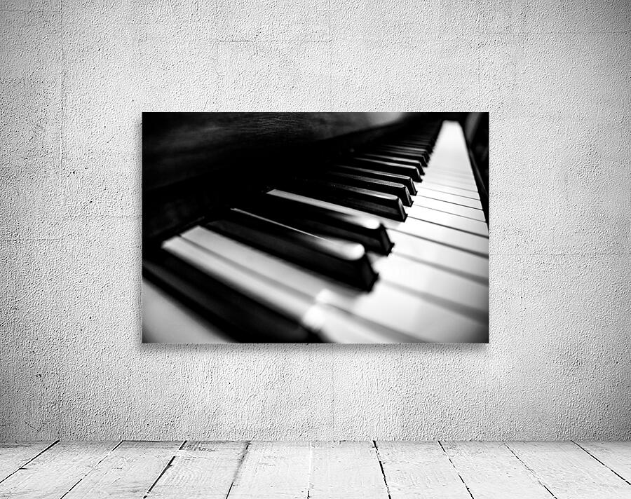 Ivory BW Wall Preview
