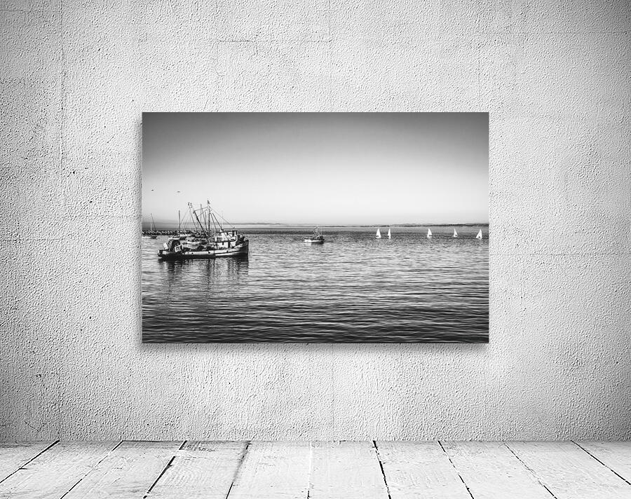 Safe Harbor BW Wall Preview