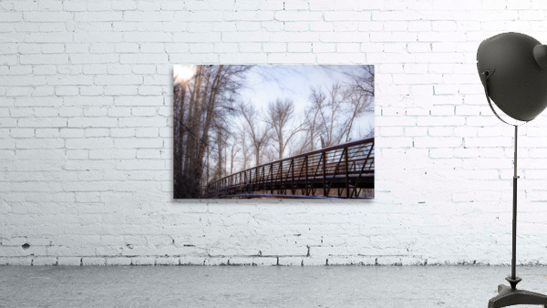 Soft Winter Wall Preview