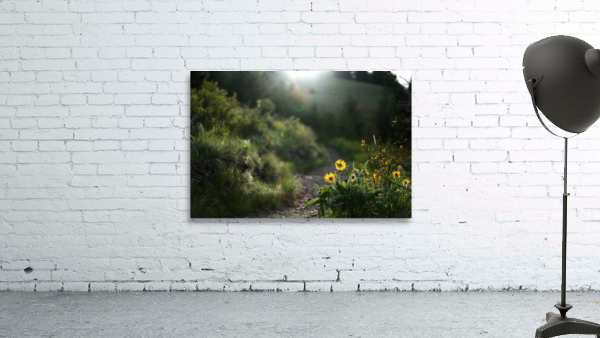 Spring Haven Wall Preview