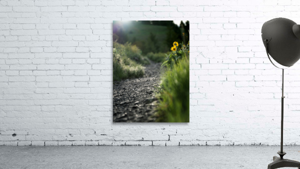 New Trail Wall Preview