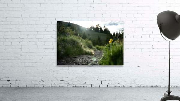 The Trail Wall Preview