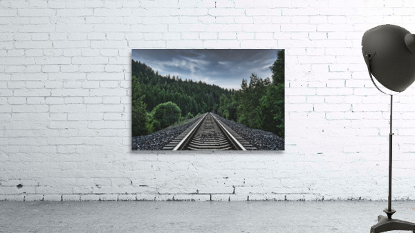 Dark Forest Wall Preview