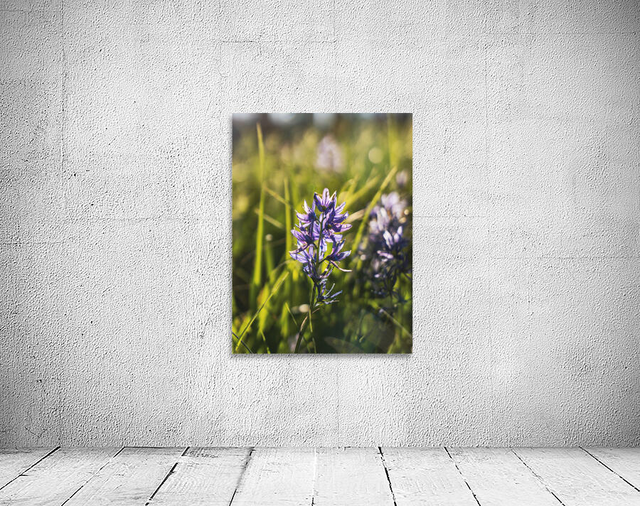 Vintage Camas Wall Preview