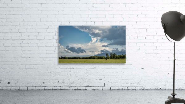 Country Fields Wall Preview