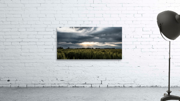Dream Field Wall Preview