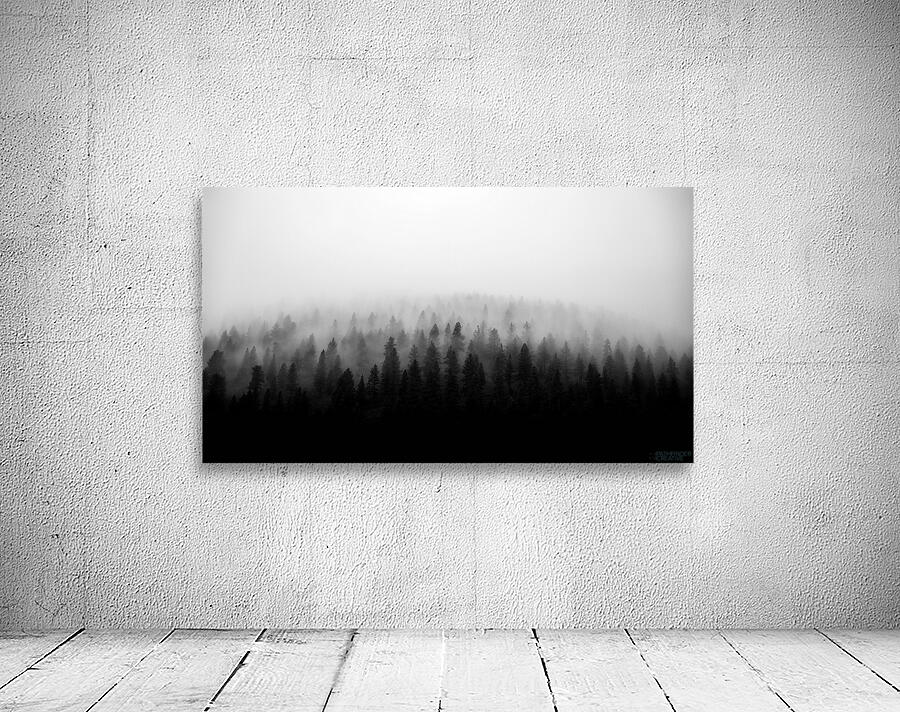 Misty Mountains BW Wall Preview