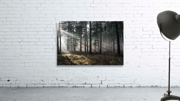 Forest Mist Wall Preview