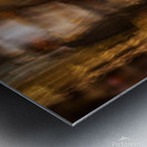 IMG 20240407 094453 091 Metal print