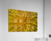  IGP1244 Acrylic Print