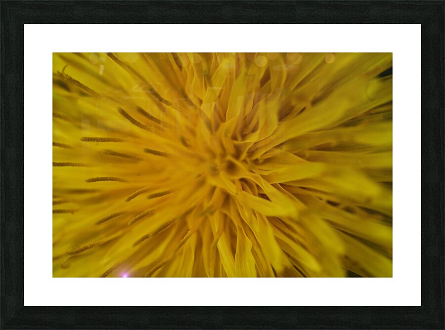  IGP1244 Picture Frame print