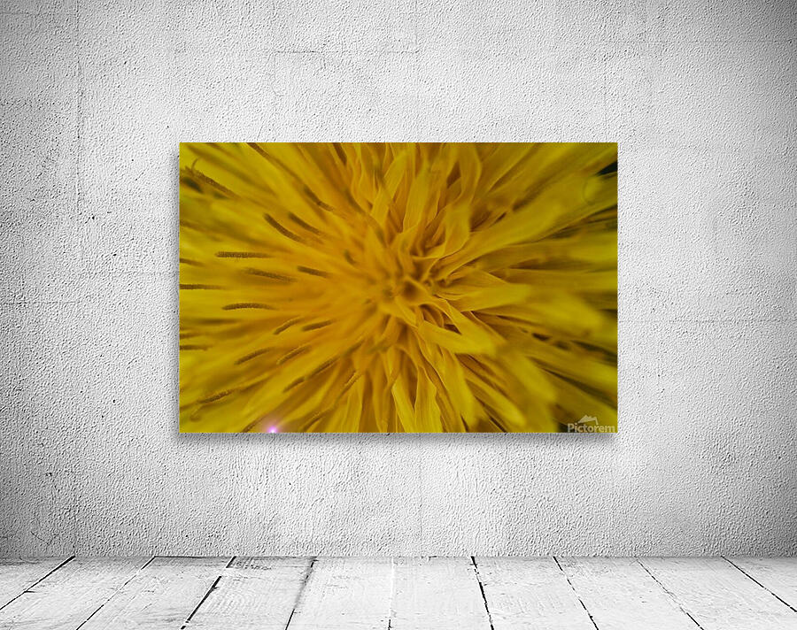  IGP1244 Wall Preview