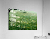 Dewy Spiderweb Acrylic Print