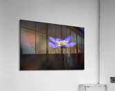 Raindrop on Petals Acrylic Print