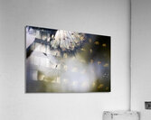 Dandelion Dream Acrylic Print