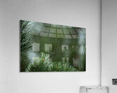 Dewy Spiderweb on Pine Acrylic Print