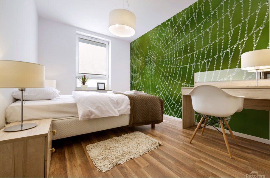 Dewy Spiderweb Mural print