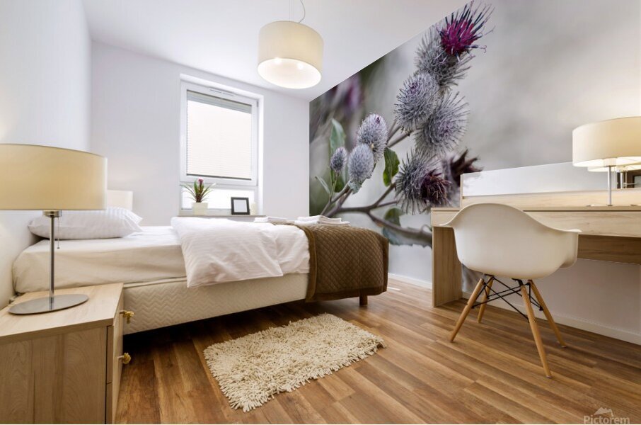 Thistle in Bloom Mural print