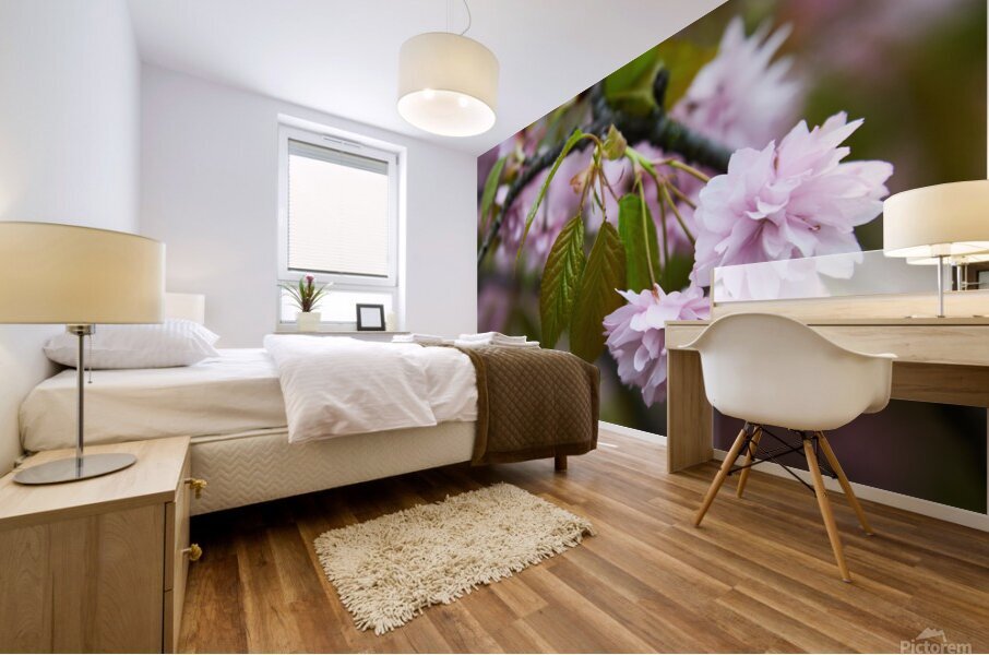 Cherry Blossoms in Spring Mural print