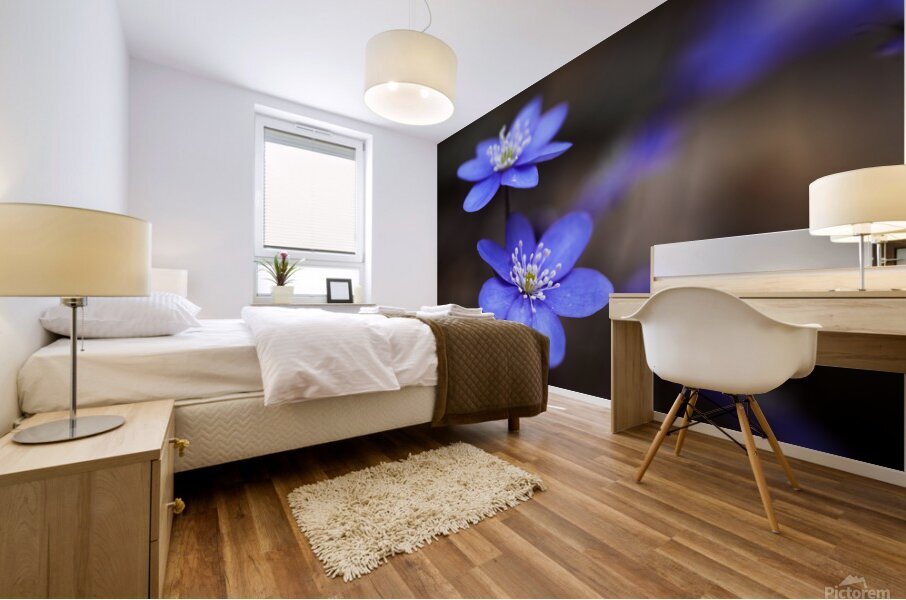 Spring Blossoms Mural print