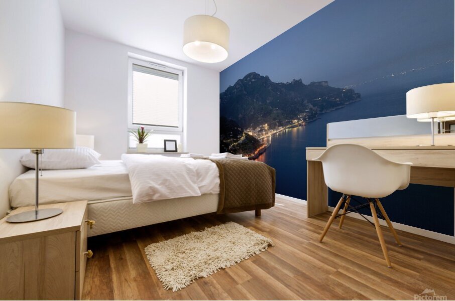 Coastal Nightscape Mural print