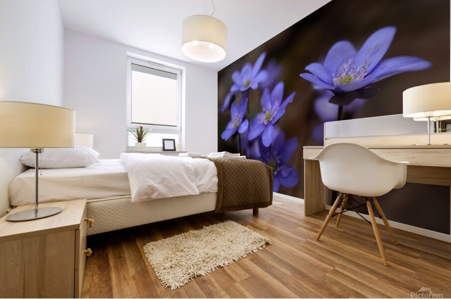 Blue Blossoms Mural print