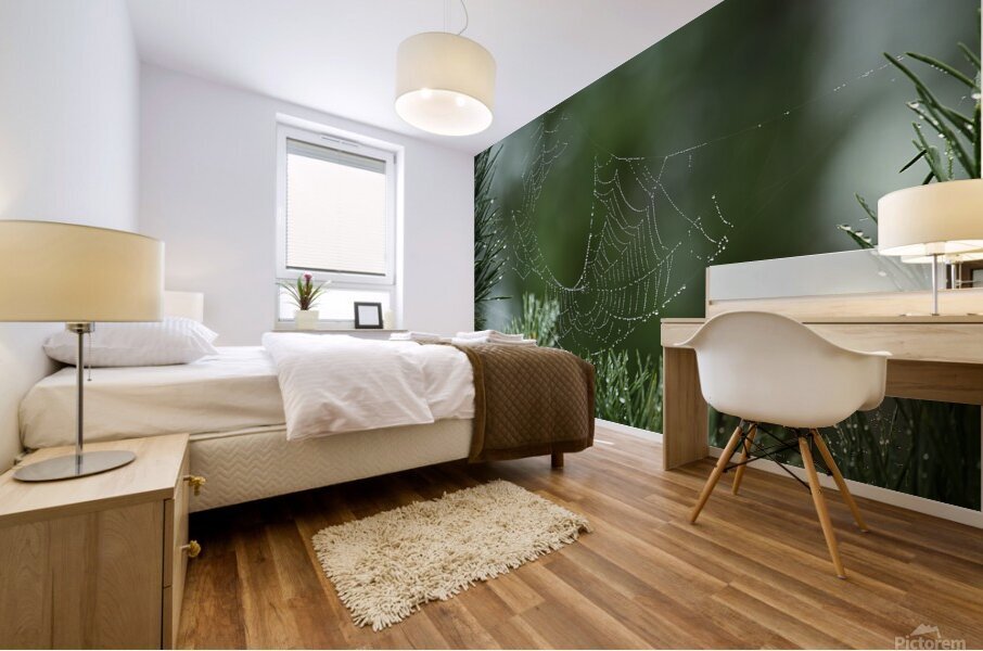 Dewy Spiderweb on Pine Mural print