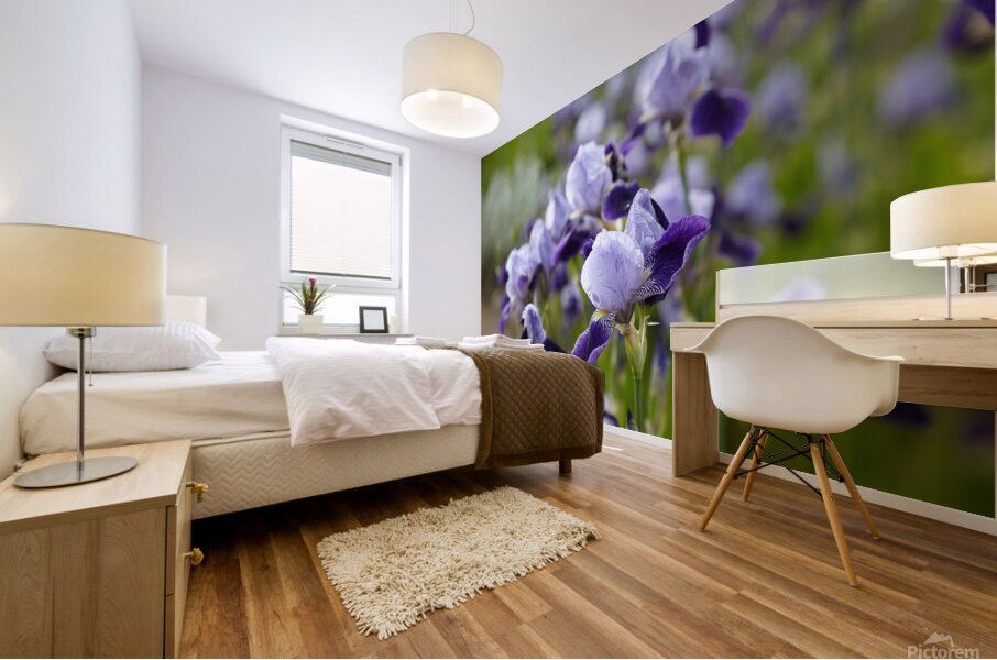 Purple Irises in Bloom Mural print