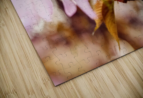 Cherry Blossoms in Bloom Vetre puzzle