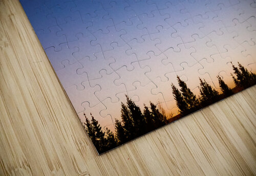 Comet Over Forest Vetre puzzle
