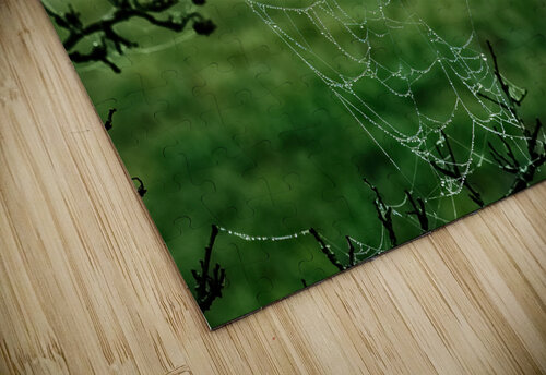 Dewy Spiderweb Vetre puzzle