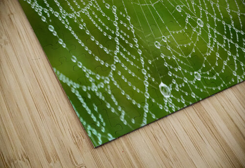 Dewy Spiderweb Vetre puzzle