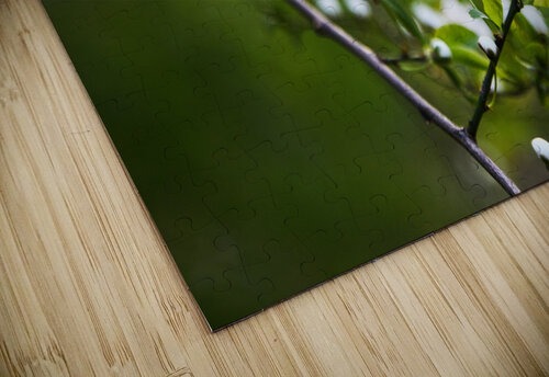 Blossoming Branch Vetre puzzle