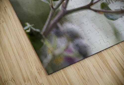 Thistle in Bloom Vetre puzzle