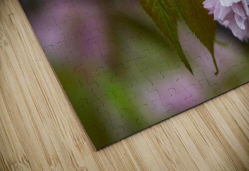 Cherry Blossoms in Spring Vetre puzzle