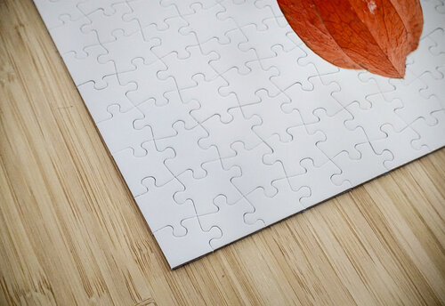 Snow Covered Lantern Vetre puzzle
